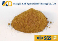 Promote Animal Growth Poultry Feed Products With Fresh Fish Raw Material