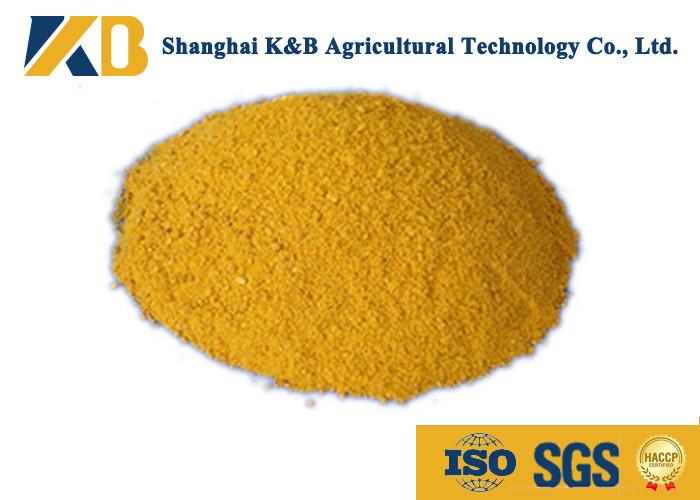 60% Content Corn Protein Powder / Animal Feed Additives For Shrimp Breed